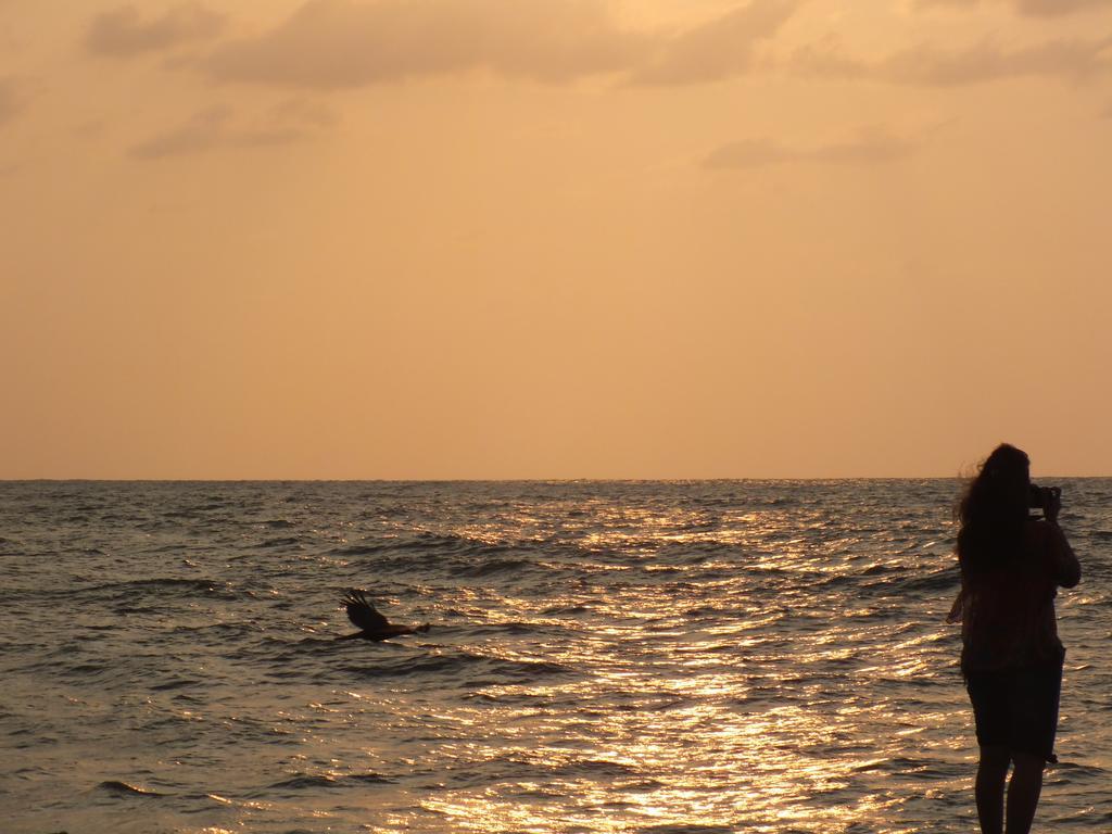 Thoms Beach Homestay Alappuzha Luaran gambar